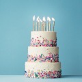 Fest kager